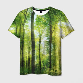 Мужская футболка 3D с принтом Солнечный лес в Екатеринбурге, 100% полиэфир | прямой крой, круглый вырез горловины, длина до линии бедер | Тематика изображения на принте: деревья | зелень | лес | лето | лучи солнца | солнце | тайга