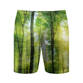Мужские шорты 3D спортивные с принтом Солнечный лес в Екатеринбурге,  |  | деревья | зелень | лес | лето | лучи солнца | солнце | тайга