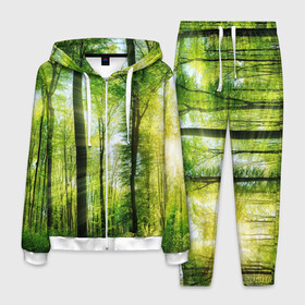 Мужской костюм 3D с принтом Солнечный лес в Екатеринбурге, 100% полиэстер | Манжеты и пояс оформлены тканевой резинкой, двухслойный капюшон со шнурком для регулировки, карманы спереди | деревья | зелень | лес | лето | лучи солнца | солнце | тайга