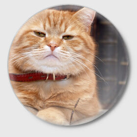 Значок с принтом Рыжий кот в Екатеринбурге,  металл | круглая форма, металлическая застежка в виде булавки | Тематика изображения на принте: грустный | добрый | животное | киса | киска кися | кот | котенок | котэ | кошка | красивый | лапа | лапка | ласковый | милый | моська | мурлыка | прикольный | смешной | унылый | усатый | шерсть