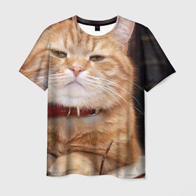 Мужская футболка 3D с принтом Рыжий кот в Екатеринбурге, 100% полиэфир | прямой крой, круглый вырез горловины, длина до линии бедер | грустный | добрый | животное | киса | киска кися | кот | котенок | котэ | кошка | красивый | лапа | лапка | ласковый | милый | моська | мурлыка | прикольный | смешной | унылый | усатый | шерсть