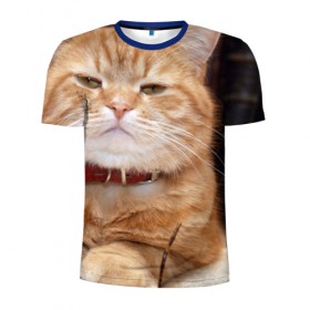 Мужская футболка 3D спортивная с принтом Рыжий кот в Екатеринбурге, 100% полиэстер с улучшенными характеристиками | приталенный силуэт, круглая горловина, широкие плечи, сужается к линии бедра | Тематика изображения на принте: грустный | добрый | животное | киса | киска кися | кот | котенок | котэ | кошка | красивый | лапа | лапка | ласковый | милый | моська | мурлыка | прикольный | смешной | унылый | усатый | шерсть