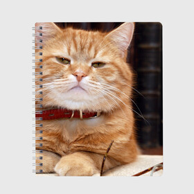 Тетрадь с принтом Рыжий кот в Екатеринбурге, 100% бумага | 48 листов, плотность листов — 60 г/м2, плотность картонной обложки — 250 г/м2. Листы скреплены сбоку удобной пружинной спиралью. Уголки страниц и обложки скругленные. Цвет линий — светло-серый
 | Тематика изображения на принте: грустный | добрый | животное | киса | киска кися | кот | котенок | котэ | кошка | красивый | лапа | лапка | ласковый | милый | моська | мурлыка | прикольный | смешной | унылый | усатый | шерсть