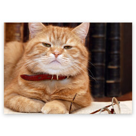 Поздравительная открытка с принтом Рыжий кот в Екатеринбурге, 100% бумага | плотность бумаги 280 г/м2, матовая, на обратной стороне линовка и место для марки
 | грустный | добрый | животное | киса | киска кися | кот | котенок | котэ | кошка | красивый | лапа | лапка | ласковый | милый | моська | мурлыка | прикольный | смешной | унылый | усатый | шерсть