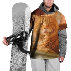 Накидка на куртку 3D с принтом Рыжий кот в Екатеринбурге, 100% полиэстер |  | грустный | добрый | животное | киса | киска кися | кот | котенок | котэ | кошка | красивый | лапа | лапка | ласковый | милый | моська | мурлыка | прикольный | смешной | унылый | усатый | шерсть