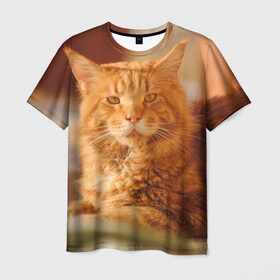 Мужская футболка 3D с принтом Рыжий кот в Екатеринбурге, 100% полиэфир | прямой крой, круглый вырез горловины, длина до линии бедер | грустный | добрый | животное | киса | киска кися | кот | котенок | котэ | кошка | красивый | лапа | лапка | ласковый | милый | моська | мурлыка | прикольный | смешной | унылый | усатый | шерсть