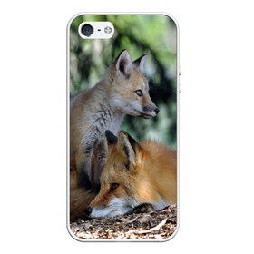 Чехол для iPhone 5/5S матовый с принтом Лиса и лесенок в Екатеринбурге, Силикон | Область печати: задняя сторона чехла, без боковых панелей | fox | животное | зверь | красивая | лес | лис | лиса | лисенок | лисица | лисичка | мех | патрикеевна | песец | плутовка | прикольная | природа | рыжая | рыжий цвет | сказка | хвост | хитрая | хищник