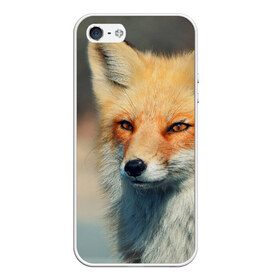 Чехол для iPhone 5/5S матовый с принтом Лисица в Екатеринбурге, Силикон | Область печати: задняя сторона чехла, без боковых панелей | fox | животное | зверь | красивая | лес | лис | лиса | лисенок | лисица | лисичка | мех | патрикеевна | песец | плутовка | прикольная | природа | рыжая | рыжий цвет | сказка | хвост | хитрая | хищник