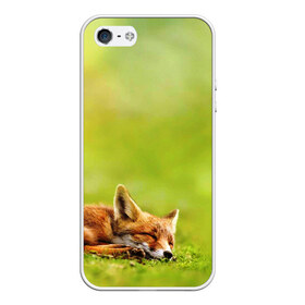Чехол для iPhone 5/5S матовый с принтом Лисичка спит в Екатеринбурге, Силикон | Область печати: задняя сторона чехла, без боковых панелей | fox | животное | зверь | красивая | лес | лис | лиса | лисенок | лисица | лисичка | мех | патрикеевна | песец | плутовка | прикольная | природа | рыжая | рыжий цвет | сказка | хвост | хитрая | хищник