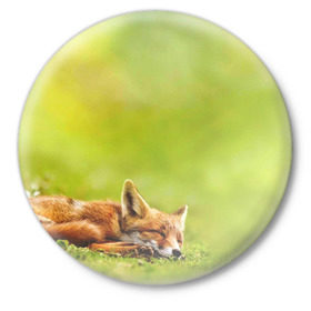 Значок с принтом Лисичка спит в Екатеринбурге,  металл | круглая форма, металлическая застежка в виде булавки | fox | животное | зверь | красивая | лес | лис | лиса | лисенок | лисица | лисичка | мех | патрикеевна | песец | плутовка | прикольная | природа | рыжая | рыжий цвет | сказка | хвост | хитрая | хищник