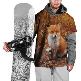 Накидка на куртку 3D с принтом Лиса в Екатеринбурге, 100% полиэстер |  | fox | животное | зверь | красивая | лес | лис | лиса | лисенок | лисица | лисичка | мех | патрикеевна | песец | плутовка | прикольная | природа | рыжая | рыжий цвет | сказка | хвост | хитрая | хищник