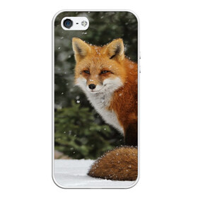 Чехол для iPhone 5/5S матовый с принтом Лиса в Екатеринбурге, Силикон | Область печати: задняя сторона чехла, без боковых панелей | fox | животное | зверь | красивая | лес | лис | лиса | лисенок | лисица | лисичка | мех | патрикеевна | песец | плутовка | прикольная | природа | рыжая | рыжий цвет | сказка | хвост | хитрая | хищник