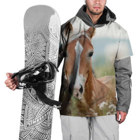Накидка на куртку 3D с принтом Лошадь в Екатеринбурге, 100% полиэстер |  | Тематика изображения на принте: вожжи | голоп | грация | езда | есаул | жеребец | животное | кобыла | кобылица | конь | копыта | копыто | лошадь | пегас | пони | рысак | сбруя | скакун | скачет | скачка | стойло | троя