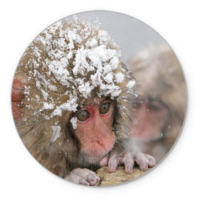 Коврик круглый с принтом Обезьянка и зима в Екатеринбурге, резина и полиэстер | круглая форма, изображение наносится на всю лицевую часть | бабуин | гамадрил | гиббон | горилла | гуманоид | дарвин | животное | зоопарк | кинг конг | мартышка | маугли | обезьяна | орангутанг | предок | примат | рожа | хомо сапиенс | шимпанзе
