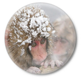 Значок с принтом Обезьянка и зима в Екатеринбурге,  металл | круглая форма, металлическая застежка в виде булавки | бабуин | гамадрил | гиббон | горилла | гуманоид | дарвин | животное | зоопарк | кинг конг | мартышка | маугли | обезьяна | орангутанг | предок | примат | рожа | хомо сапиенс | шимпанзе