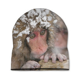 Шапка 3D с принтом Обезьянка и зима в Екатеринбурге, 100% полиэстер | универсальный размер, печать по всей поверхности изделия | Тематика изображения на принте: бабуин | гамадрил | гиббон | горилла | гуманоид | дарвин | животное | зоопарк | кинг конг | мартышка | маугли | обезьяна | орангутанг | предок | примат | рожа | хомо сапиенс | шимпанзе