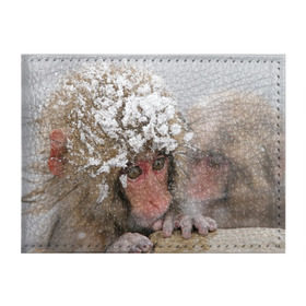 Обложка для студенческого билета с принтом Обезьянка и зима в Екатеринбурге, натуральная кожа | Размер: 11*8 см; Печать на всей внешней стороне | бабуин | гамадрил | гиббон | горилла | гуманоид | дарвин | животное | зоопарк | кинг конг | мартышка | маугли | обезьяна | орангутанг | предок | примат | рожа | хомо сапиенс | шимпанзе
