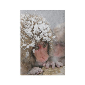 Обложка для паспорта матовая кожа с принтом Обезьянка и зима в Екатеринбурге, натуральная матовая кожа | размер 19,3 х 13,7 см; прозрачные пластиковые крепления | Тематика изображения на принте: бабуин | гамадрил | гиббон | горилла | гуманоид | дарвин | животное | зоопарк | кинг конг | мартышка | маугли | обезьяна | орангутанг | предок | примат | рожа | хомо сапиенс | шимпанзе
