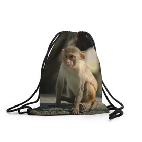 Рюкзак-мешок 3D с принтом Мартышка в Екатеринбурге, 100% полиэстер | плотность ткани — 200 г/м2, размер — 35 х 45 см; лямки — толстые шнурки, застежка на шнуровке, без карманов и подкладки | животное | мартышка | обезьяна | примат