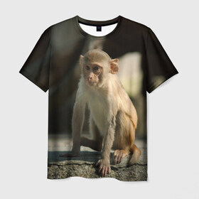 Мужская футболка 3D с принтом Мартышка в Екатеринбурге, 100% полиэфир | прямой крой, круглый вырез горловины, длина до линии бедер | Тематика изображения на принте: животное | мартышка | обезьяна | примат