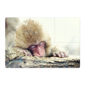 Магнитный плакат 3Х2 с принтом Обезьянка спит в Екатеринбурге, Полимерный материал с магнитным слоем | 6 деталей размером 9*9 см | бабуин | животное | обезьяна | орангутанг | примат