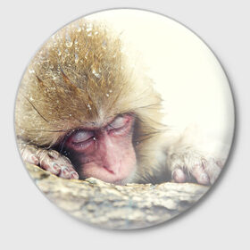 Значок с принтом Обезьянка спит в Екатеринбурге,  металл | круглая форма, металлическая застежка в виде булавки | бабуин | животное | обезьяна | орангутанг | примат