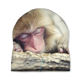 Шапка 3D с принтом Обезьянка спит в Екатеринбурге, 100% полиэстер | универсальный размер, печать по всей поверхности изделия | бабуин | животное | обезьяна | орангутанг | примат
