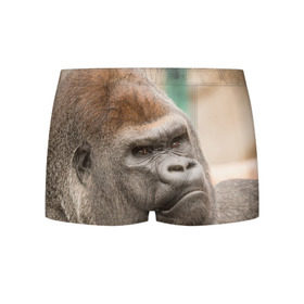 Мужские трусы 3D с принтом Обезьяна в Екатеринбурге, 50% хлопок, 50% полиэстер | классическая посадка, на поясе мягкая тканевая резинка | Тематика изображения на принте: горилла | животное | обезьяна | примат