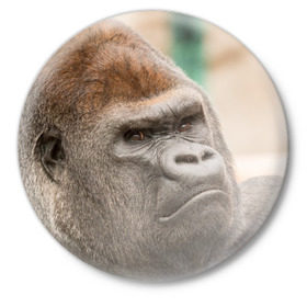 Значок с принтом Обезьяна в Екатеринбурге,  металл | круглая форма, металлическая застежка в виде булавки | горилла | животное | обезьяна | примат