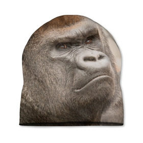 Шапка 3D с принтом Обезьяна в Екатеринбурге, 100% полиэстер | универсальный размер, печать по всей поверхности изделия | горилла | животное | обезьяна | примат