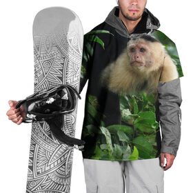 Накидка на куртку 3D с принтом Обезьянка в джунглях в Екатеринбурге, 100% полиэстер |  | бабуин | гамадрил | гиббон | горилла | гуманоид | дарвин | животное | зоопарк | кинг конг | мартышка | маугли | обезьяна | орангутанг | предок | примат | рожа | хомо сапиенс | шимпанзе