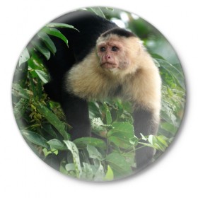 Значок с принтом Обезьянка в джунглях в Екатеринбурге,  металл | круглая форма, металлическая застежка в виде булавки | Тематика изображения на принте: бабуин | гамадрил | гиббон | горилла | гуманоид | дарвин | животное | зоопарк | кинг конг | мартышка | маугли | обезьяна | орангутанг | предок | примат | рожа | хомо сапиенс | шимпанзе