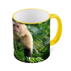 Кружка 3D с принтом Обезьянка в джунглях в Екатеринбурге, керамика | ёмкость 330 мл | Тематика изображения на принте: бабуин | гамадрил | гиббон | горилла | гуманоид | дарвин | животное | зоопарк | кинг конг | мартышка | маугли | обезьяна | орангутанг | предок | примат | рожа | хомо сапиенс | шимпанзе