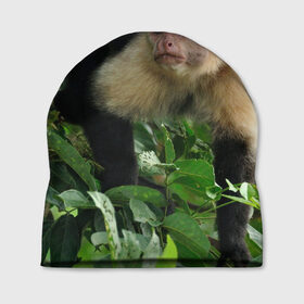 Шапка 3D с принтом Обезьянка в джунглях в Екатеринбурге, 100% полиэстер | универсальный размер, печать по всей поверхности изделия | Тематика изображения на принте: бабуин | гамадрил | гиббон | горилла | гуманоид | дарвин | животное | зоопарк | кинг конг | мартышка | маугли | обезьяна | орангутанг | предок | примат | рожа | хомо сапиенс | шимпанзе