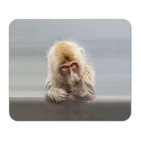 Коврик прямоугольный с принтом Японская макака в Екатеринбурге, натуральный каучук | размер 230 х 185 мм; запечатка лицевой стороны | макак | мартышка | обезьяна | палец | япония