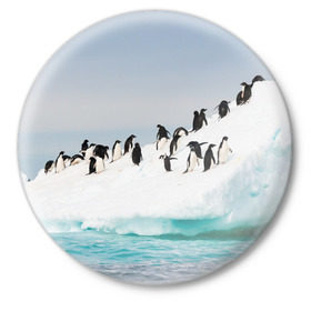 Значок с принтом Пингвины на айсберге в Екатеринбурге,  металл | круглая форма, металлическая застежка в виде булавки | айсберг | антарктида | антарктика | арктика | буревестник | глупый | императорский | клюв | королевский | крылья | ласты | лёд | линукс | океан | пилигрим | полюс | птица | север | снег | умка | фрак
