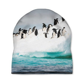 Шапка 3D с принтом Пингвины на айсберге в Екатеринбурге, 100% полиэстер | универсальный размер, печать по всей поверхности изделия | айсберг | антарктида | антарктика | арктика | буревестник | глупый | императорский | клюв | королевский | крылья | ласты | лёд | линукс | океан | пилигрим | полюс | птица | север | снег | умка | фрак