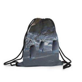 Рюкзак-мешок 3D с принтом Ночные пингвины в горах в Екатеринбурге, 100% полиэстер | плотность ткани — 200 г/м2, размер — 35 х 45 см; лямки — толстые шнурки, застежка на шнуровке, без карманов и подкладки | 
