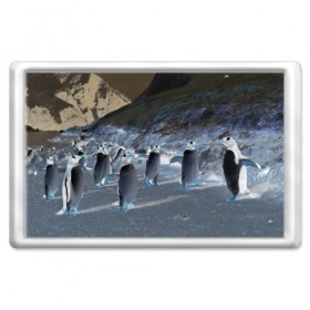 Магнит 45*70 с принтом Ночные пингвины в горах в Екатеринбурге, Пластик | Размер: 78*52 мм; Размер печати: 70*45 | 