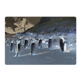 Магнитный плакат 3Х2 с принтом Ночные пингвины в горах в Екатеринбурге, Полимерный материал с магнитным слоем | 6 деталей размером 9*9 см | 