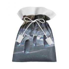 Подарочный 3D мешок с принтом Ночные пингвины в горах в Екатеринбурге, 100% полиэстер | Размер: 29*39 см | 