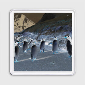 Магнит 55*55 с принтом Ночные пингвины в горах в Екатеринбурге, Пластик | Размер: 65*65 мм; Размер печати: 55*55 мм | 