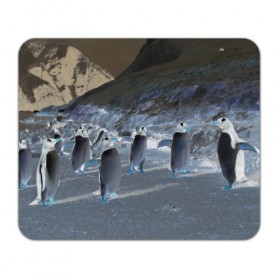 Коврик прямоугольный с принтом Ночные пингвины в горах в Екатеринбурге, натуральный каучук | размер 230 х 185 мм; запечатка лицевой стороны | 