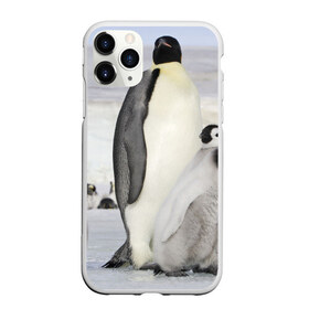 Чехол для iPhone 11 Pro матовый с принтом Пингвин и пингвинята в Екатеринбурге, Силикон |  | айсберг | антарктида | антарктика | арктика | буревестник | глупый | императорский | клюв | королевский | крылья | ласты | лёд | линукс | океан | пилигрим | полюс | птица | север | снег | умка | фрак