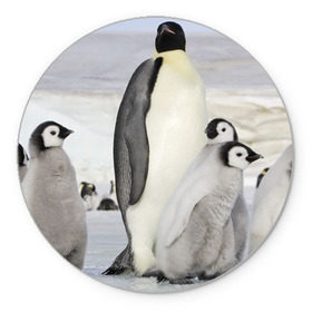 Коврик круглый с принтом Пингвин и пингвинята в Екатеринбурге, резина и полиэстер | круглая форма, изображение наносится на всю лицевую часть | айсберг | антарктида | антарктика | арктика | буревестник | глупый | императорский | клюв | королевский | крылья | ласты | лёд | линукс | океан | пилигрим | полюс | птица | север | снег | умка | фрак