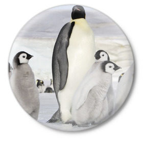 Значок с принтом Пингвин и пингвинята в Екатеринбурге,  металл | круглая форма, металлическая застежка в виде булавки | айсберг | антарктида | антарктика | арктика | буревестник | глупый | императорский | клюв | королевский | крылья | ласты | лёд | линукс | океан | пилигрим | полюс | птица | север | снег | умка | фрак