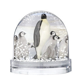 Снежный шар с принтом Пингвин и пингвинята в Екатеринбурге, Пластик | Изображение внутри шара печатается на глянцевой фотобумаге с двух сторон | айсберг | антарктида | антарктика | арктика | буревестник | глупый | императорский | клюв | королевский | крылья | ласты | лёд | линукс | океан | пилигрим | полюс | птица | север | снег | умка | фрак