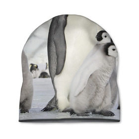 Шапка 3D с принтом Пингвин и пингвинята в Екатеринбурге, 100% полиэстер | универсальный размер, печать по всей поверхности изделия | айсберг | антарктида | антарктика | арктика | буревестник | глупый | императорский | клюв | королевский | крылья | ласты | лёд | линукс | океан | пилигрим | полюс | птица | север | снег | умка | фрак