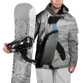 Накидка на куртку 3D с принтом Пингвин в Екатеринбурге, 100% полиэстер |  | 