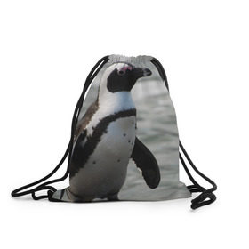 Рюкзак-мешок 3D с принтом Пингвин в Екатеринбурге, 100% полиэстер | плотность ткани — 200 г/м2, размер — 35 х 45 см; лямки — толстые шнурки, застежка на шнуровке, без карманов и подкладки | 